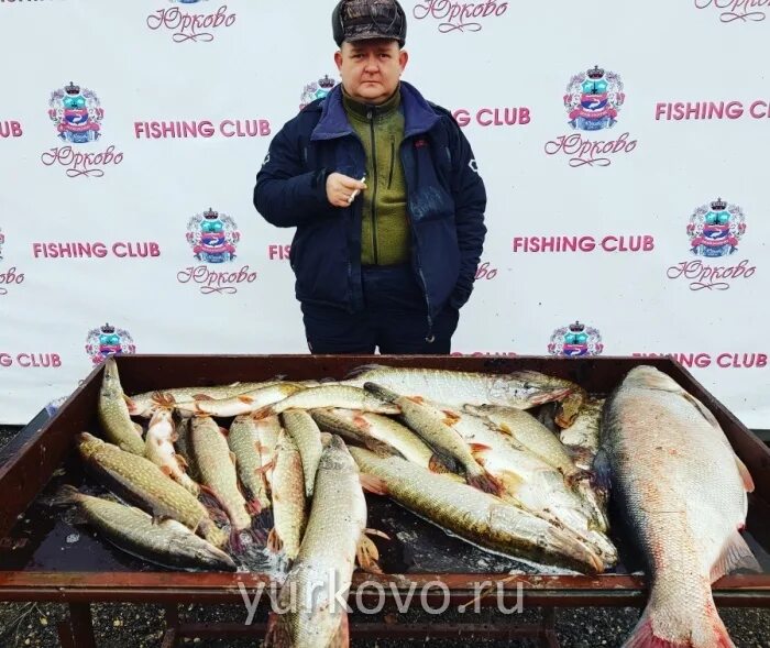 Можайск русфишинг. Юрково платная рыбалка официальный сайт. рыбалка в юрково. рыбалка видное. рыбалка юрково можайского района.