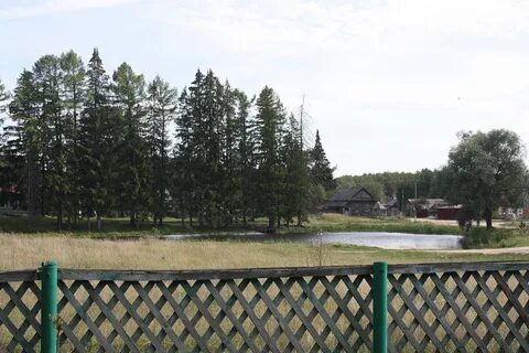 Лесное мордовия
