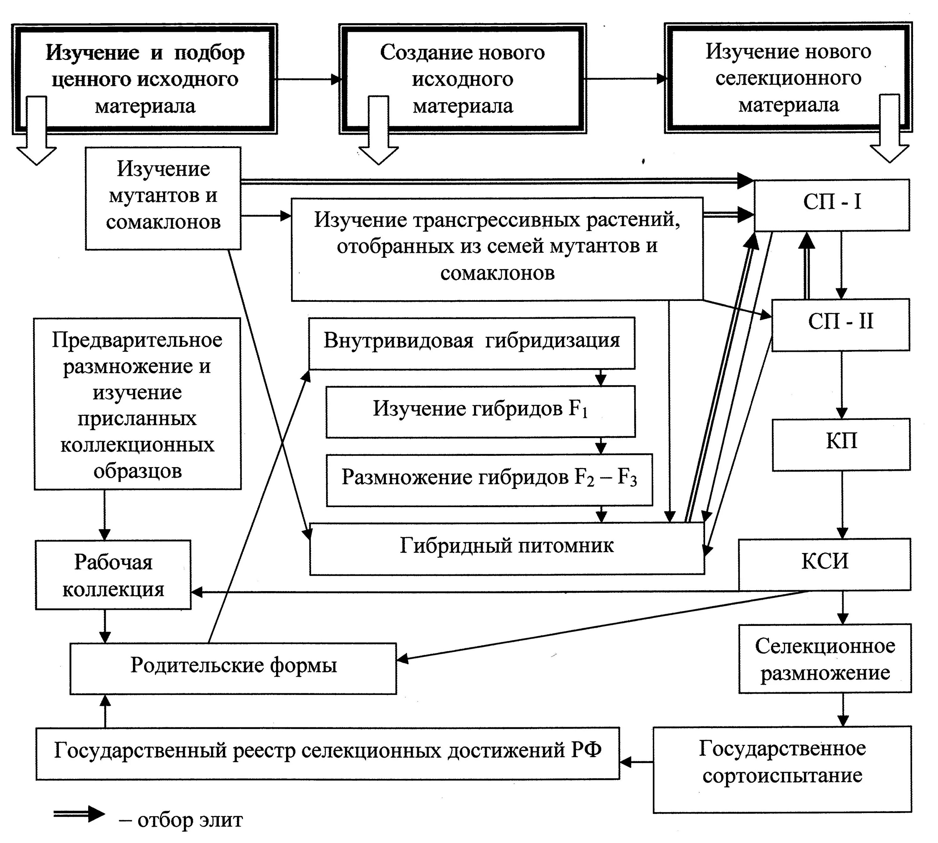 Значение бобовых в жизни человека. Функции сои. Функции сои. Продукты содержащие изофлавоны сои. Изофлавоны сои.
