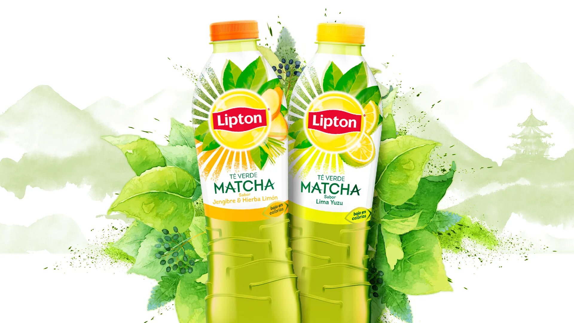 Липтон 1 литр. Липтон зеленый на белом фоне. Lipton 05 PNG. Сок Липтон. Липтон на зеленом фоне.