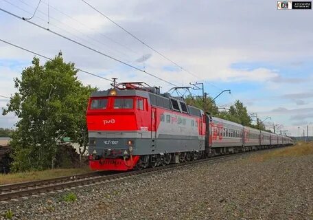 Поезд 123 новосибирск белгород