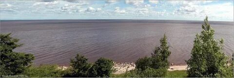 Впадает в ильмень сканворд