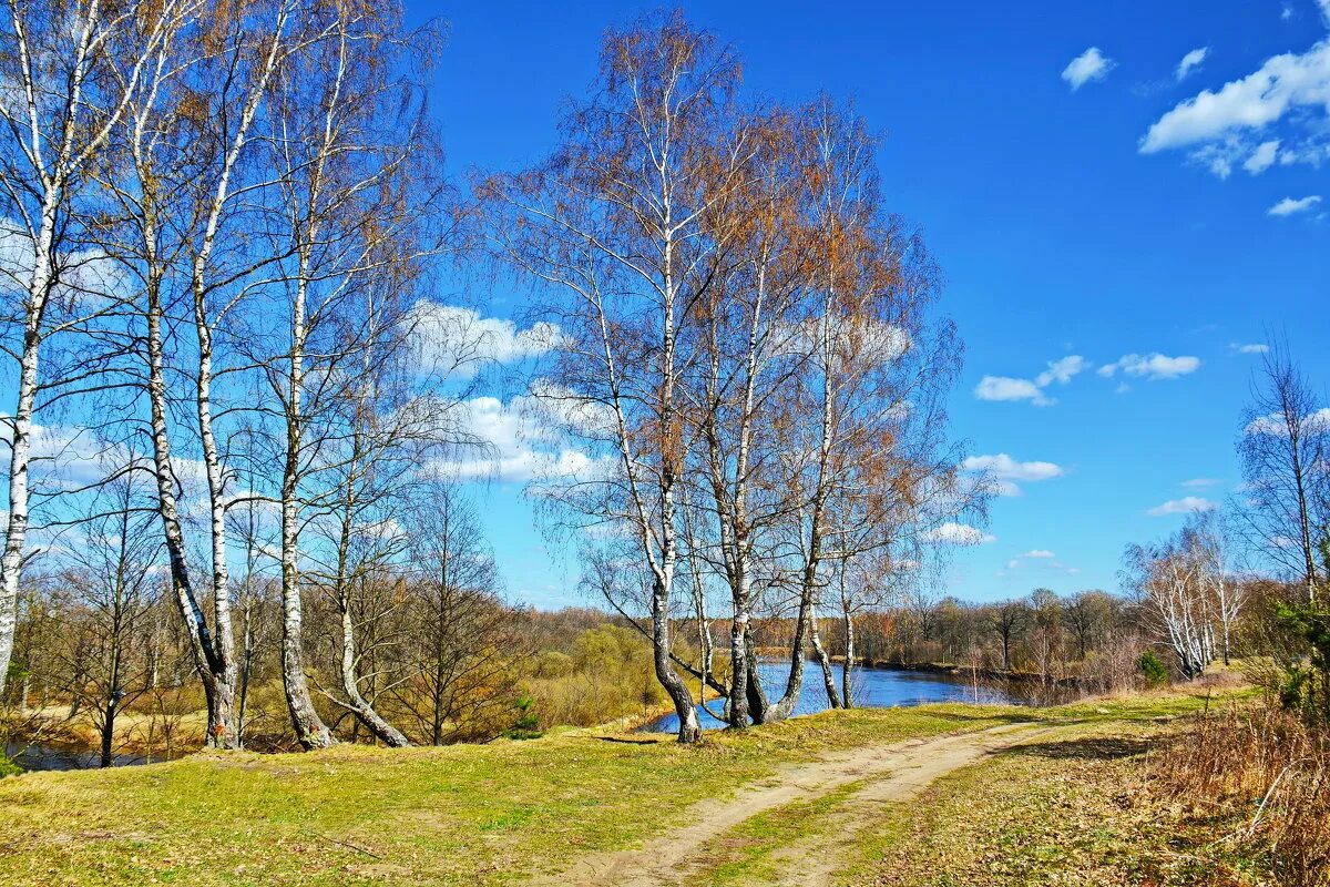 Весенний воздух чистый и свежий тире. Самые красивые весенние фотопейзажи России. Атмосфера ранней весны.
