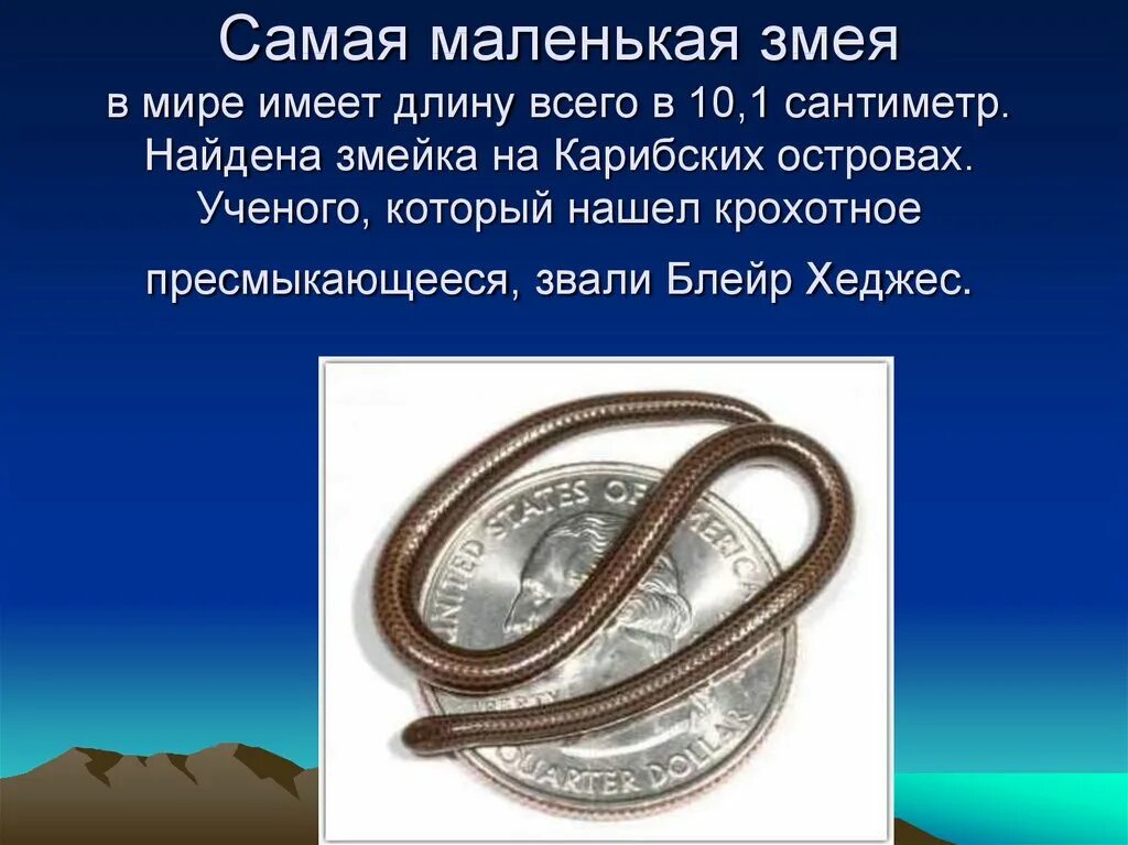 Интересный факт про пресмыкающихся. Интересные факты о рептилиях. факты о пресмыкающихся. интересные факты о змеях. интересные факты о пресмыкающихся.
