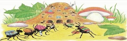 Жапон әйелін африкалықтар трахает етеді (порно)