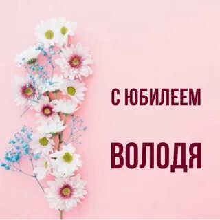С юбилеем володя