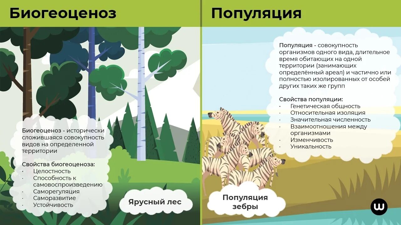 Совокупность видов растений и животных длительное