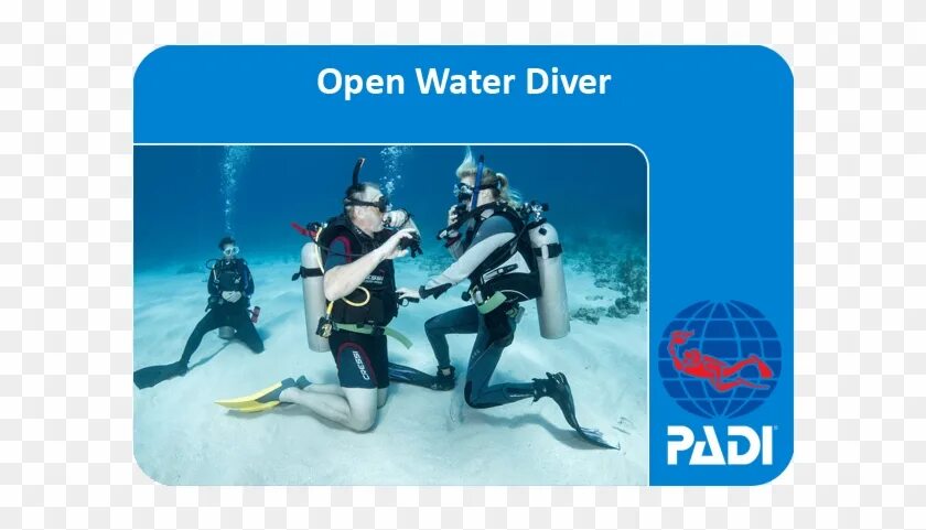 Сертификат Padi open Water Diver. Padi open Water Diver - открытая вода. Дайвинг сертификат Padi. Padi OWD сертификат.