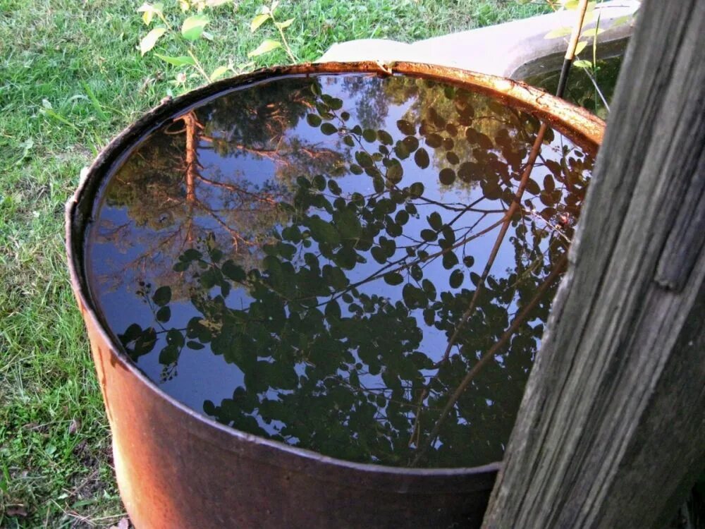 Залив воды в бочку. Вода в бочке. Бочка для воды железная. Бочка для полива огорода. Железная бочка для воды на дачу.