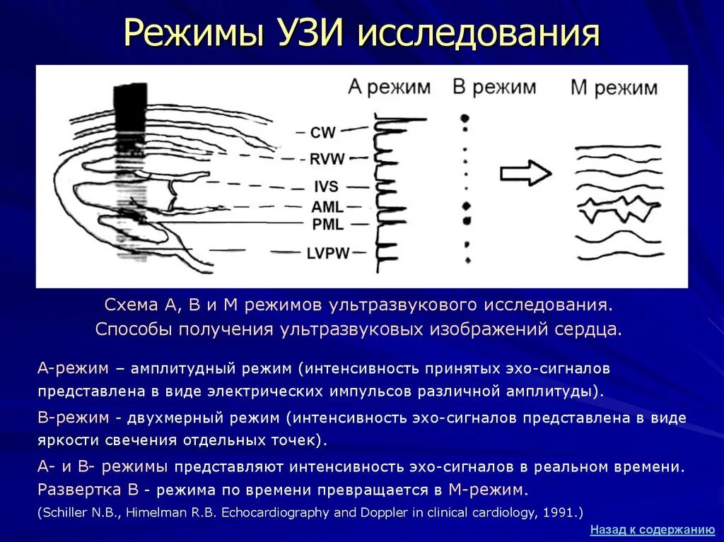 Эхо ошибок. М-режим ультразвукового исследования. Методики ультразвукового исследования a-режим b-режим m-режим. Б режим ультразвукового исследования. Ультразвуковые изучения м режима.