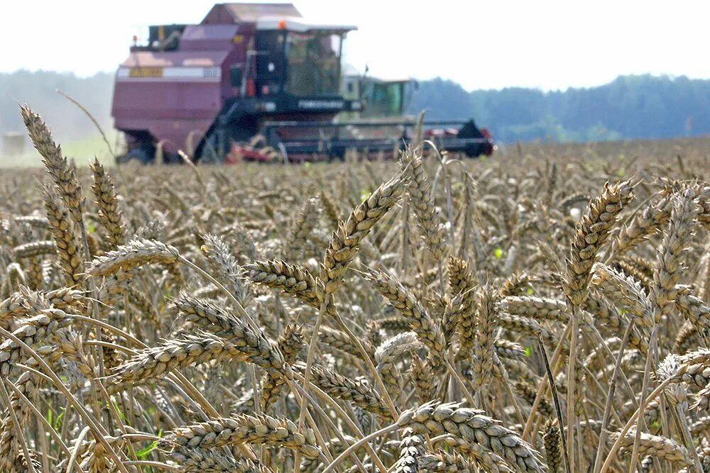 Сельскохозяйственные работы. Посевная кампания. Апк вологодской области. Аграрий вологодская область. Тверская область сельское хозяйство.