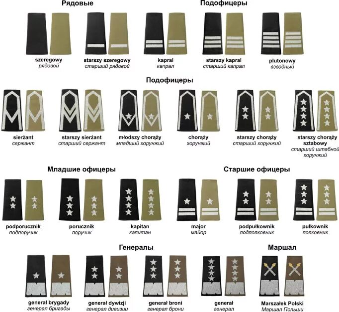 Американские погоны. Звания польской армии 1939 года. Звания в польской армии до 1939. Звания в польской армии. Польские военные звания.