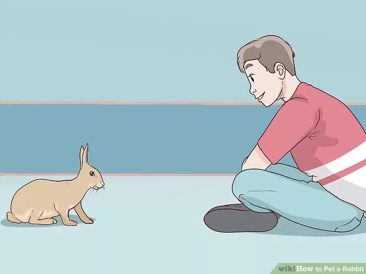 Как гладить кролика. Как гладить кролика. Как правильно гладить кролика. Аниме девушка гладит кролика. Как гладить кролика.