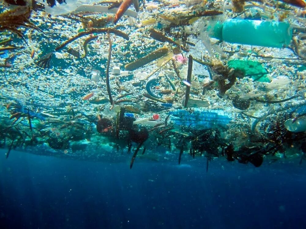 Мусорный континент расположен в океане. Мусорный остров в тихом океане. Great Pacific Garbage Patch. Большое Тихоокеанское мусорное пятно. Мусорное пятно в тихом океане.