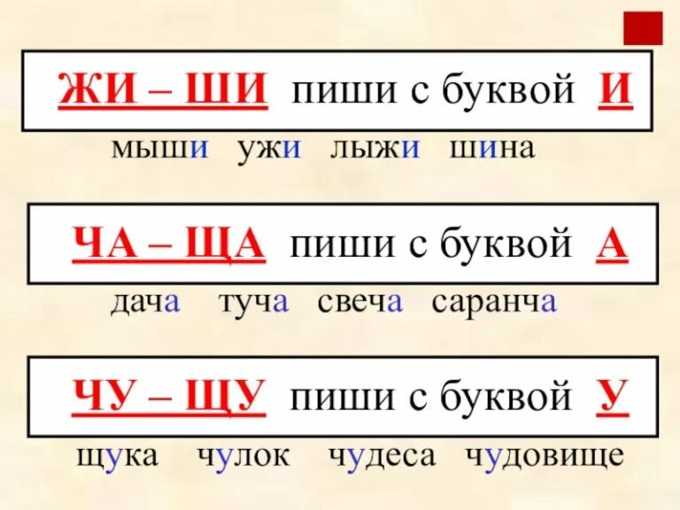 Слова на чу щу 1 класс. Жи ши. Правило жи ши ча ща Чу ЩУ. Жи ши пиши с буквой и. Жи ши с буквой и правило.