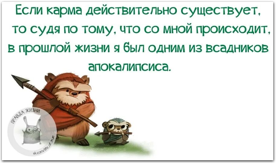 Карма существует. Высказывания про карму. Анекдоты про карму. Карма цитаты. Цитаты про карму смешные.