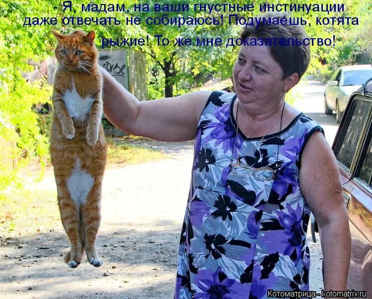 Ищет мем. Здесь ничего нет. Мы где-то здесь. Смешные головоломки в картинках. Поиск мем.