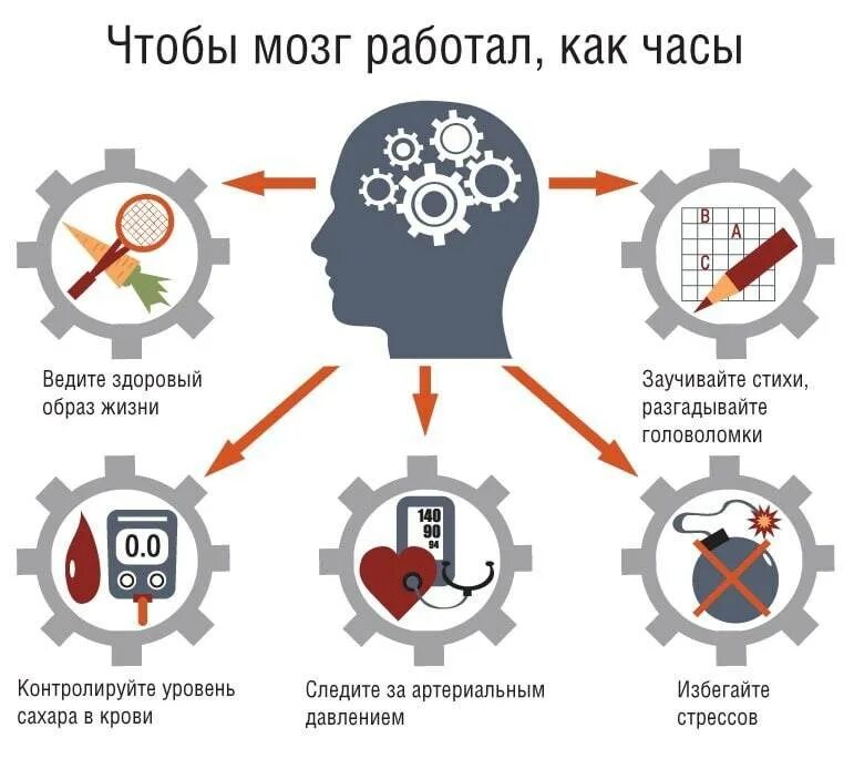 Мозг работает на 3. Как сохранить работоспособность мозга. тренировка мозга. зарядка для мозга. мозг инфографика.