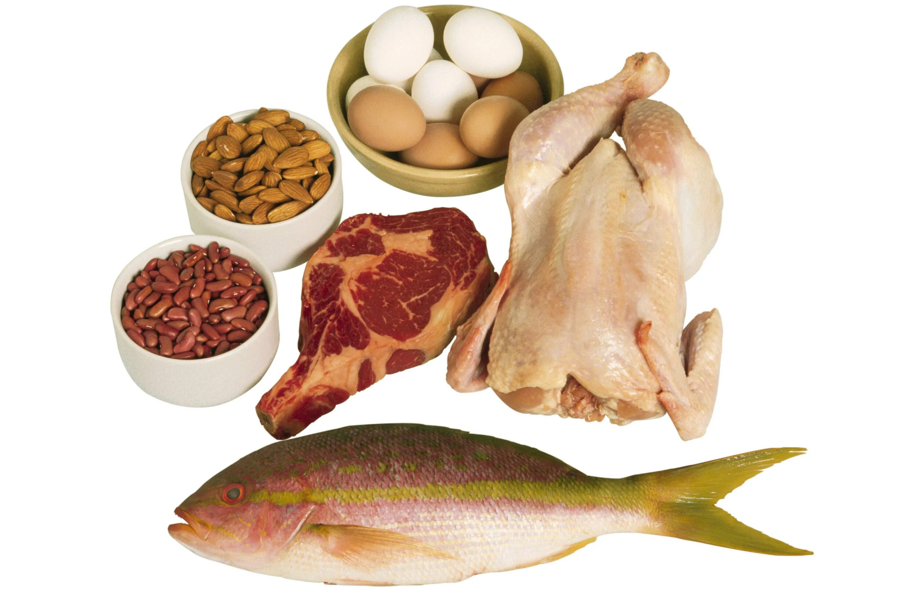 Еда с протеином. Мясо рыба яйца. Питание белки. Белковая пища. Мясо рыба курица.