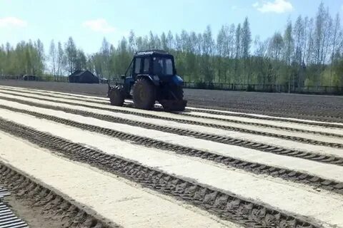 Работы в лесных питомниках