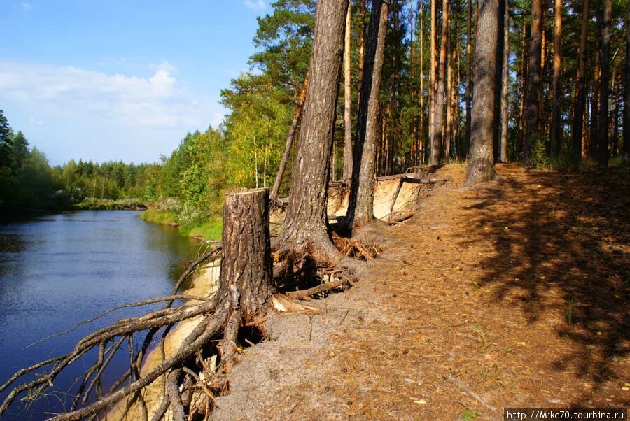 Мещера клепики. Клепиковский район,мещера тума,. нац парк мещера. мещера рязанская область клепиковский район. река пра мещера.