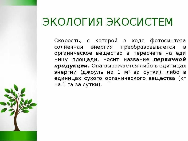 Решение экологических задач по биологии. Решение экологических задач. Экологические задачи с решением по экологии. Станция экологические задачи. Задачи социальной экологии.