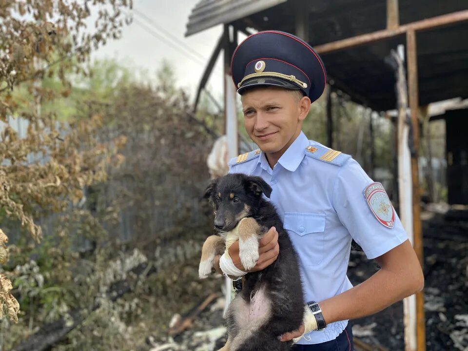 Поиск полиции. Полицейские спасают людей. полицейский россии. работник полиции.
