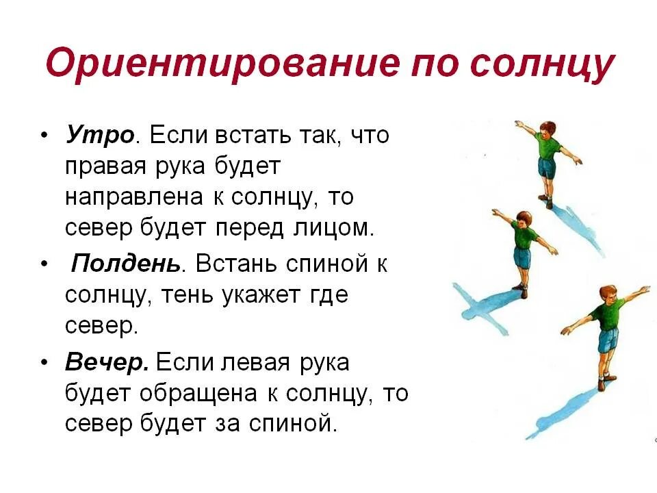 Как ориентироваться по солнцу кратко. Как ориентироваться в лесу по солнцу. 3 Способа ориентирования по солнцу. Ориентирование на местности по солнцу кратко.