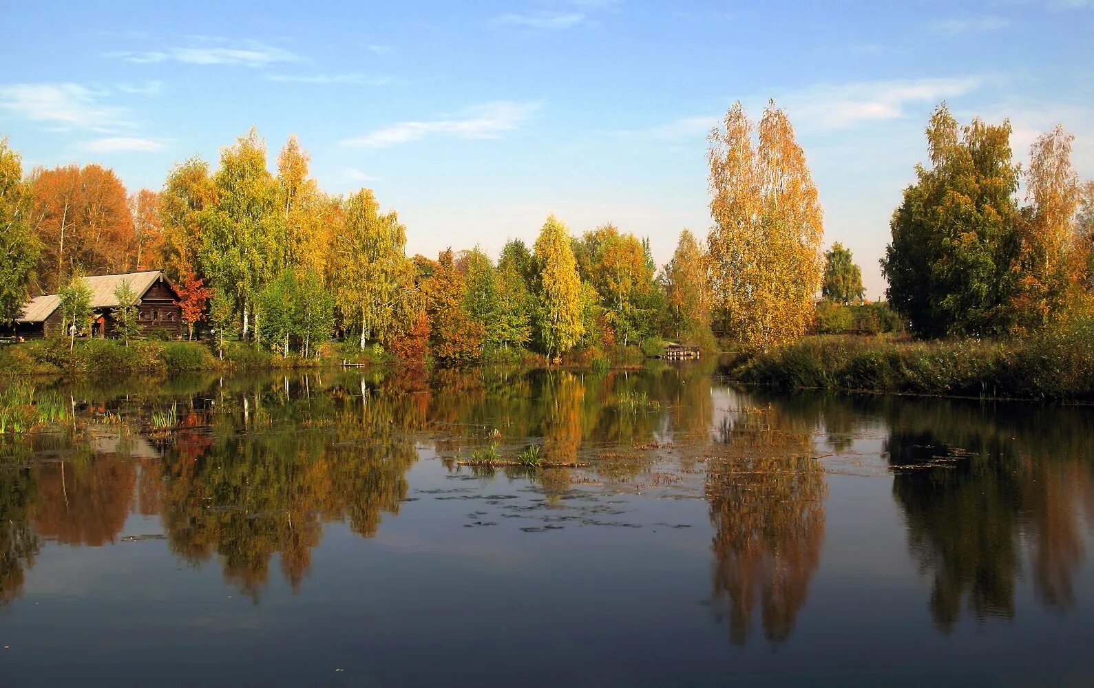 Кострома природа Кострома. Пейзажи Щелыково Костромской области. Осень Островское Костромская область. Климат Костромской области