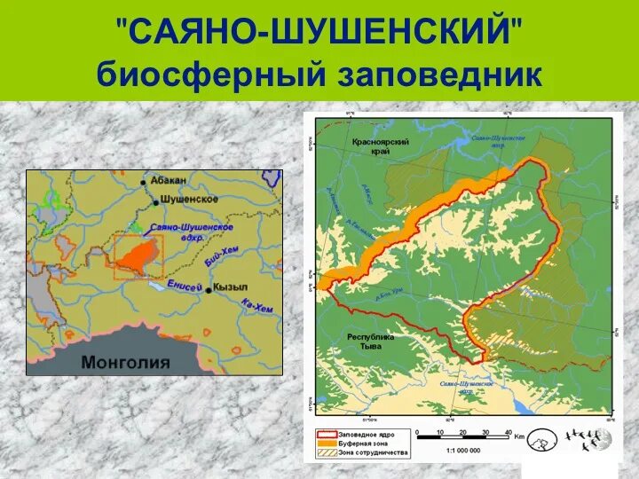 Саяно-Шушенский биосферный заповедник на карте. Саяно Шушенский заповедник Красноярского края. Территория Саяно-Шушенского заповедника. Саяно-Шушенский заповедник на карте России. Саяно шушенский заповедник презентация 2 класс