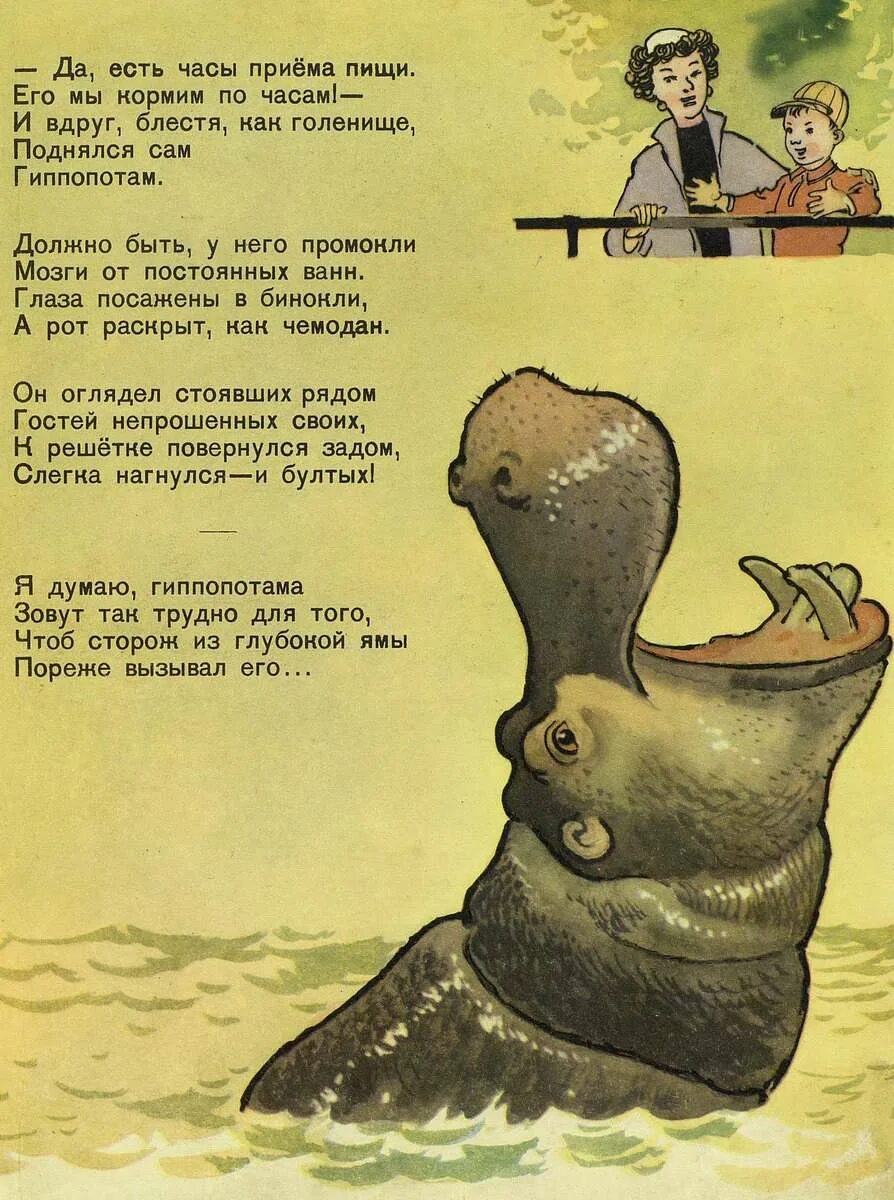 Сказка телефон. Загадка про гиппопотама для детей. Маршак гиппопотам стих. Бегемот для детей. Стих про бегемота.