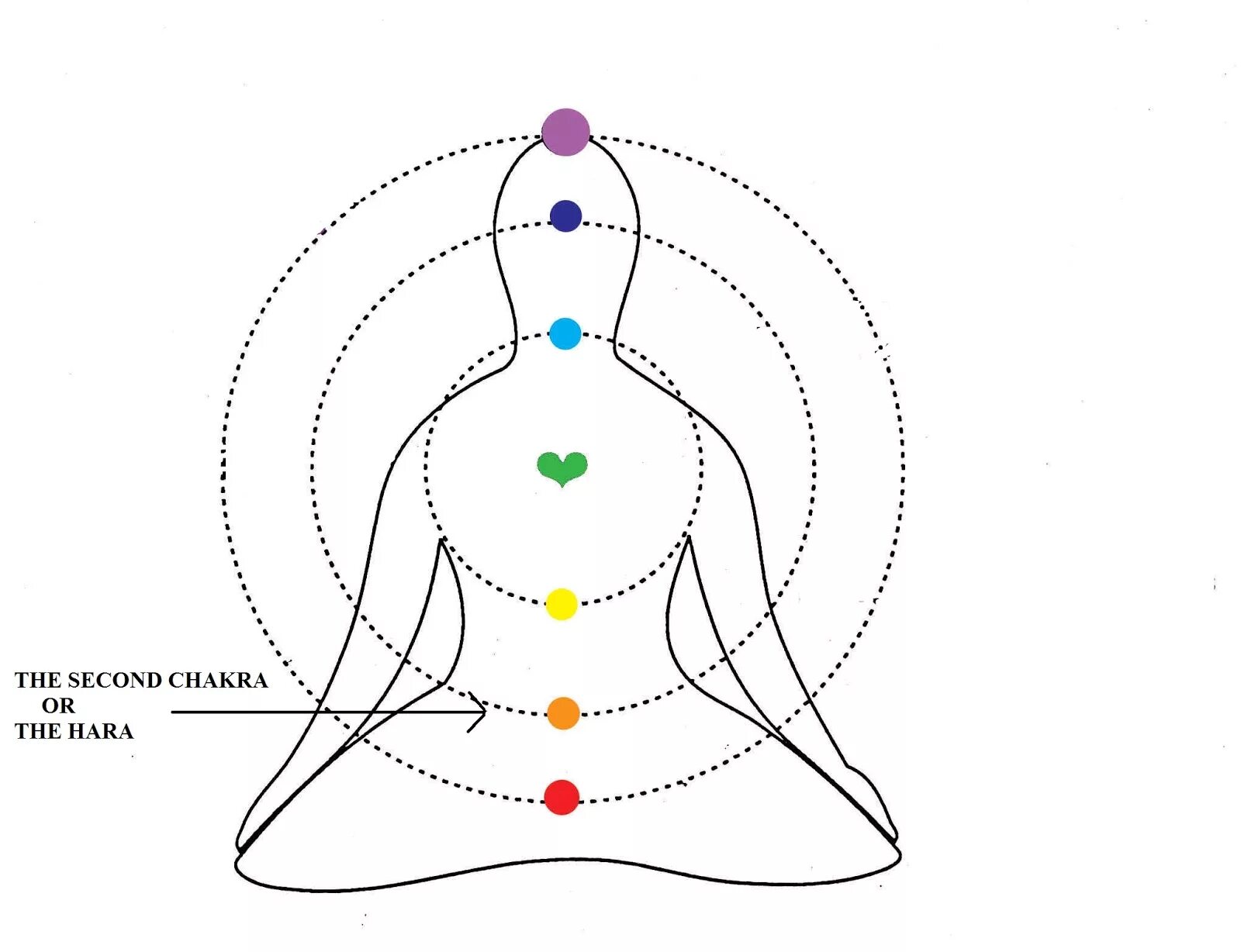 Чакры человека. Танден хара. Линганха чакра. Хара тип таллома. Муладхара свадхистана манипура анахата вишудха аджна сахасрара.