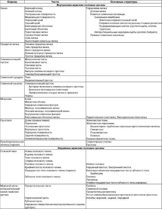 Мужской врач по половым органам как называется. Женская половая система строение таблица. Женская половая система орган строение функции. Таблица мужские половые органы строение. Женская половая система строение и функции таблица.