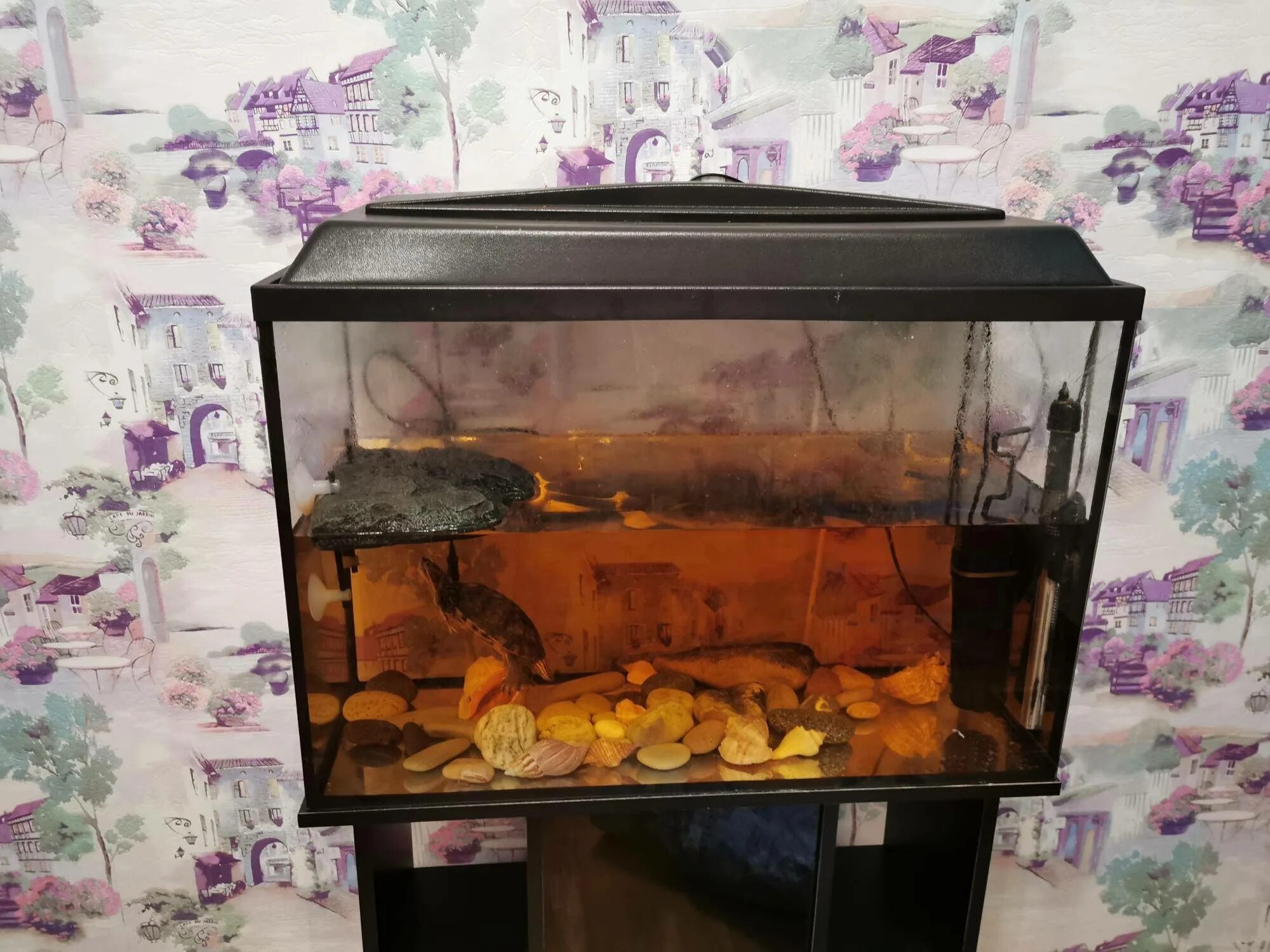 Аквариум 25 литров гуппи. 20 литров аквариум сколько рыбок. Рыбки для аквариума 20 литров. 30 литровый аквариум. 20 литров аквариум сколько рыбок.