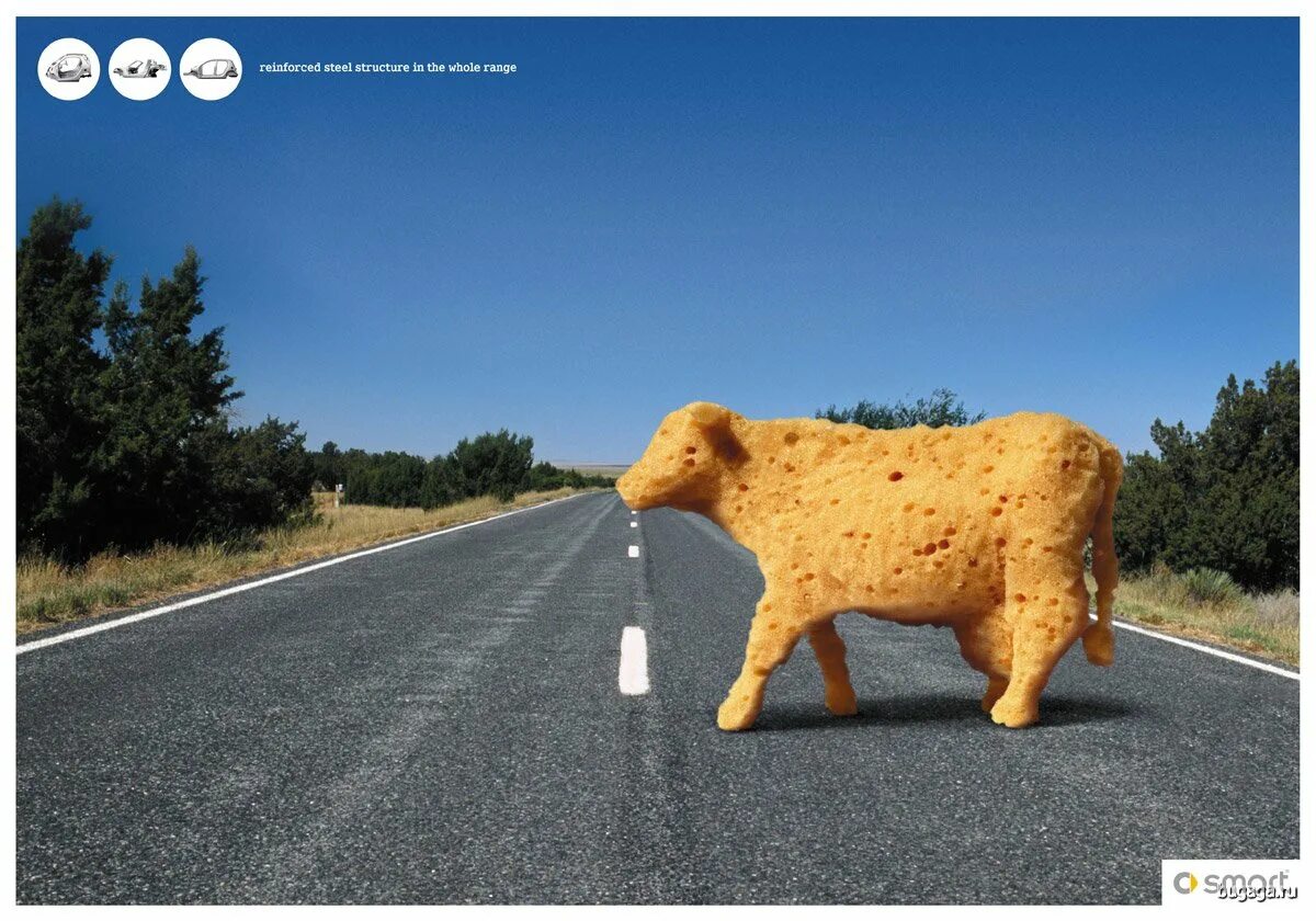 Креативная реклама с животными. Любопытство в рекламе. Реклама в Испании. Испанская реклама.