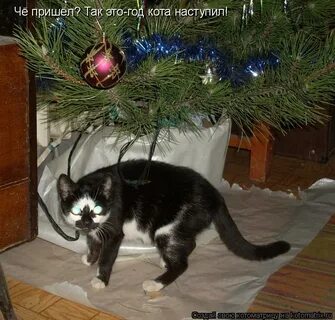 Сейчас полезет