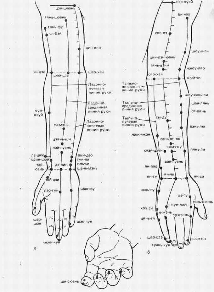 Схема акупунктурных точек на ладони. Точки акупунктуры на руке схема. Биологически активные точки при грыже позвоночника. Акупунктурные точки головы схема. Схема точек акупунктуры на теле человека атлас.
