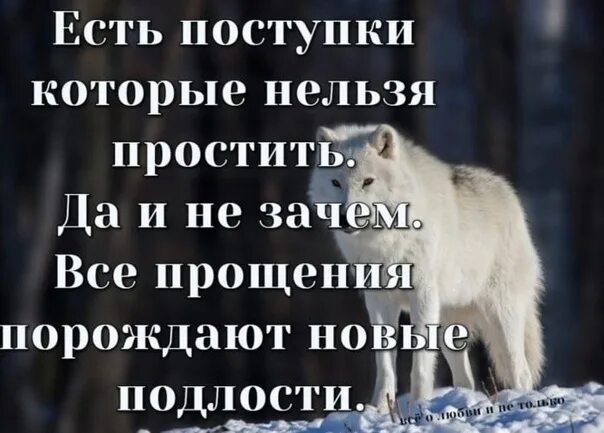 Простить невозможно читать. Нельзя прощать. Нельзя прощать предателей. Простить один раз. Простить подлость.