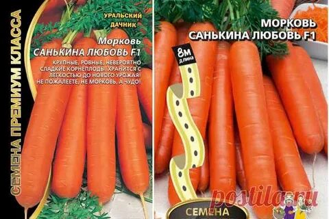 Капуста санькина любовь отзывы