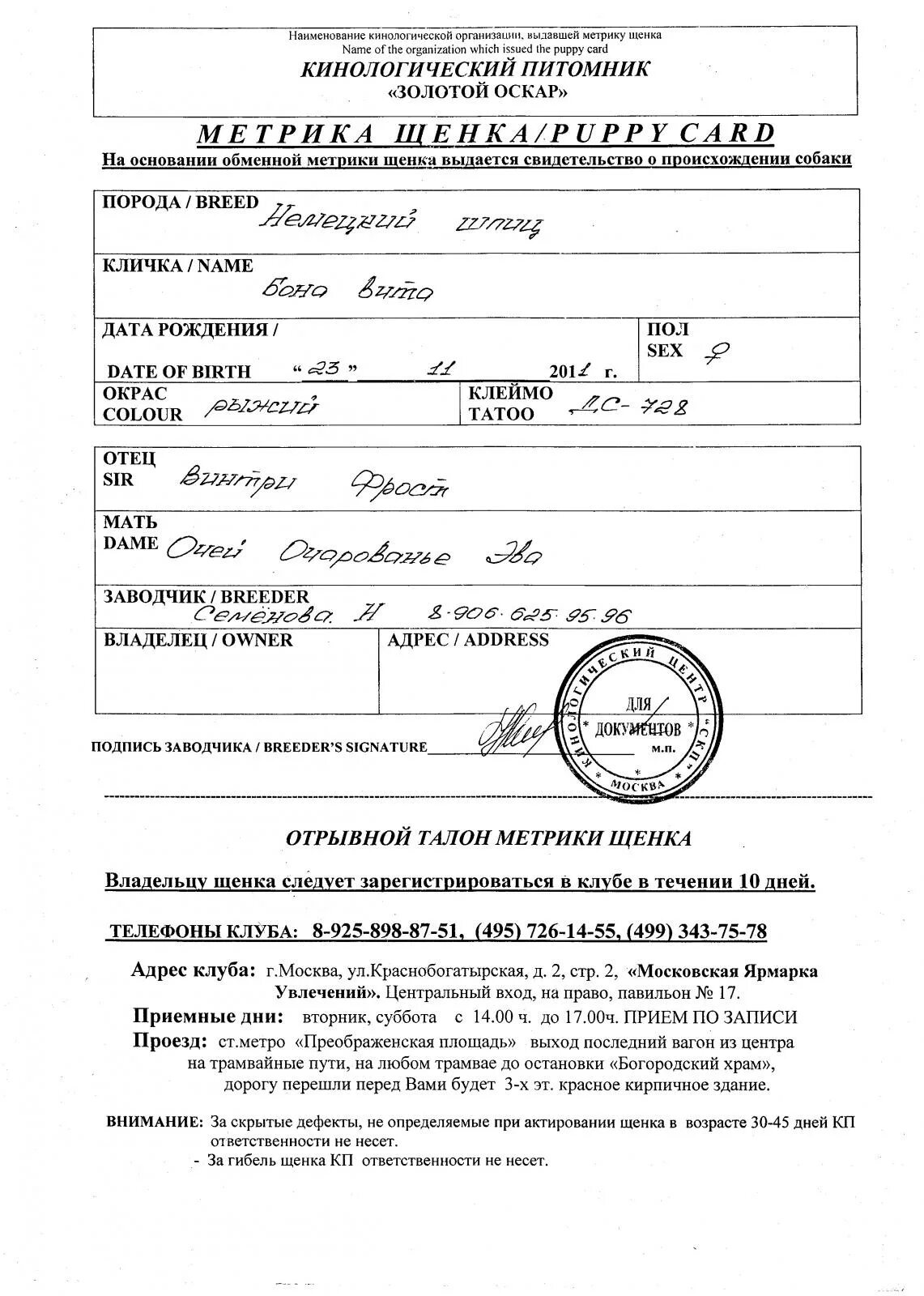 Щенячья метрика ркф. Российская кинологическая федерация метрика щенка. Метрика на щенка образец. Как выглядит метрика щенка ркф. Метрика щенка шпица померанского.