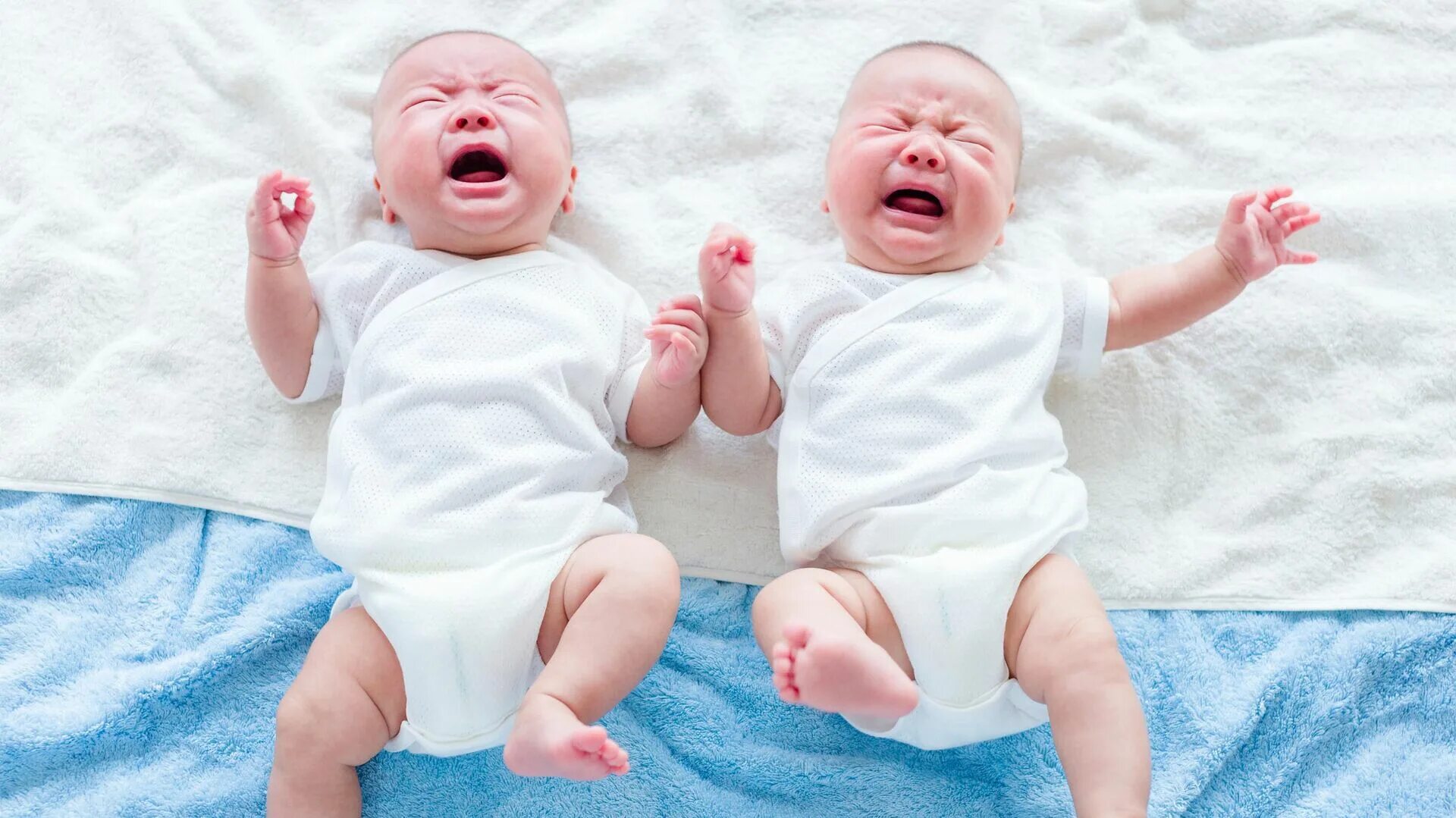 They re babies. They re babies