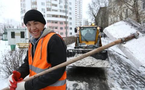Куда требуется дворник