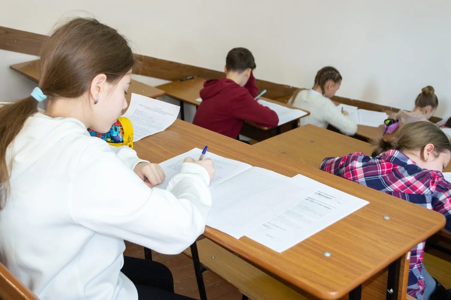 Школьники на уроке. Домашнее задание по математике. Ученик мультяшка. Класс с учениками. Девочка за уроками.