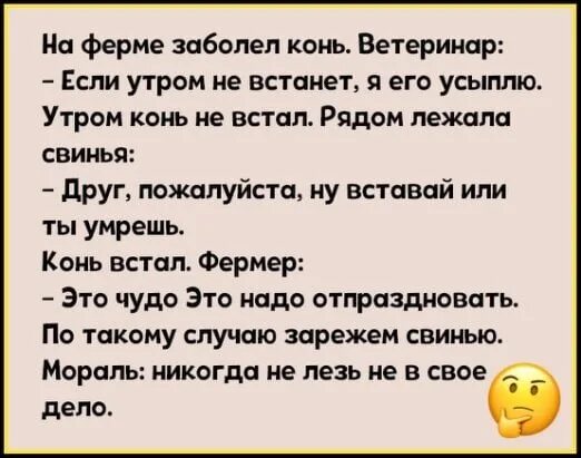 Анекдоты про лошадей. Анекдот про лошадь в цирке. На ферме заболел конь притча. Анекдот про свинью и лошадь.