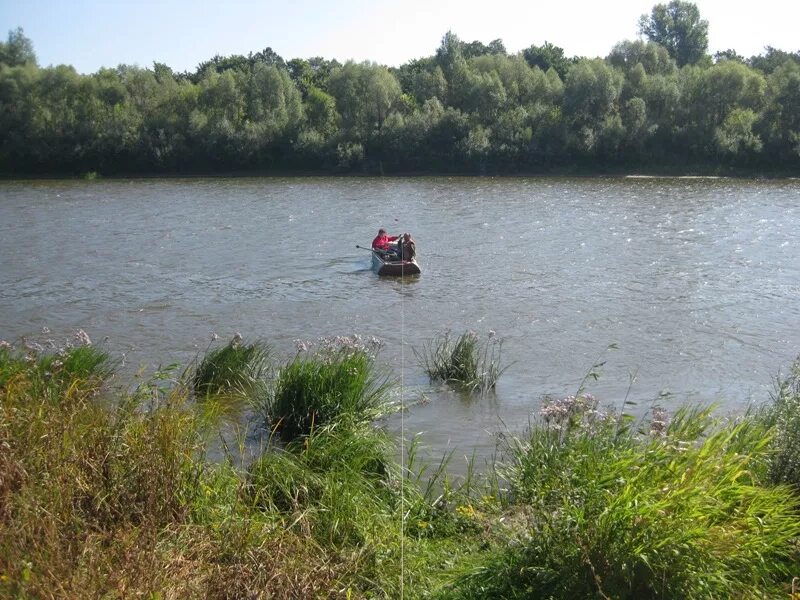 Гидропост горбатов на оке сегодня уровень воды