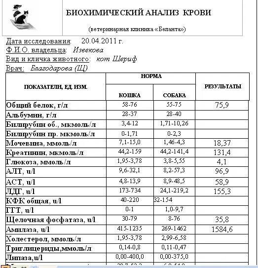 Алт в биохимическом анализе норма у женщин. Биохимия анализ крови показатели АСТ что это. Биохимический анализ крови расшифровка у женщин алт АСТ. Биохимический анализ крови норма АСТ. Норма анализа крови биохимия у женщины таблица алт АСТ.