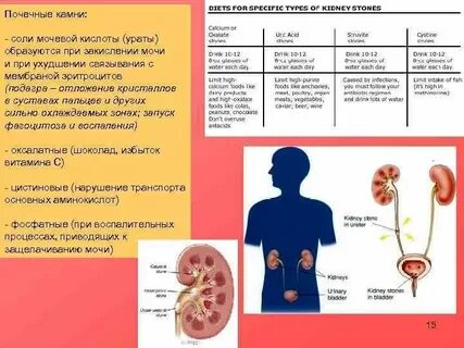 Почки солевой