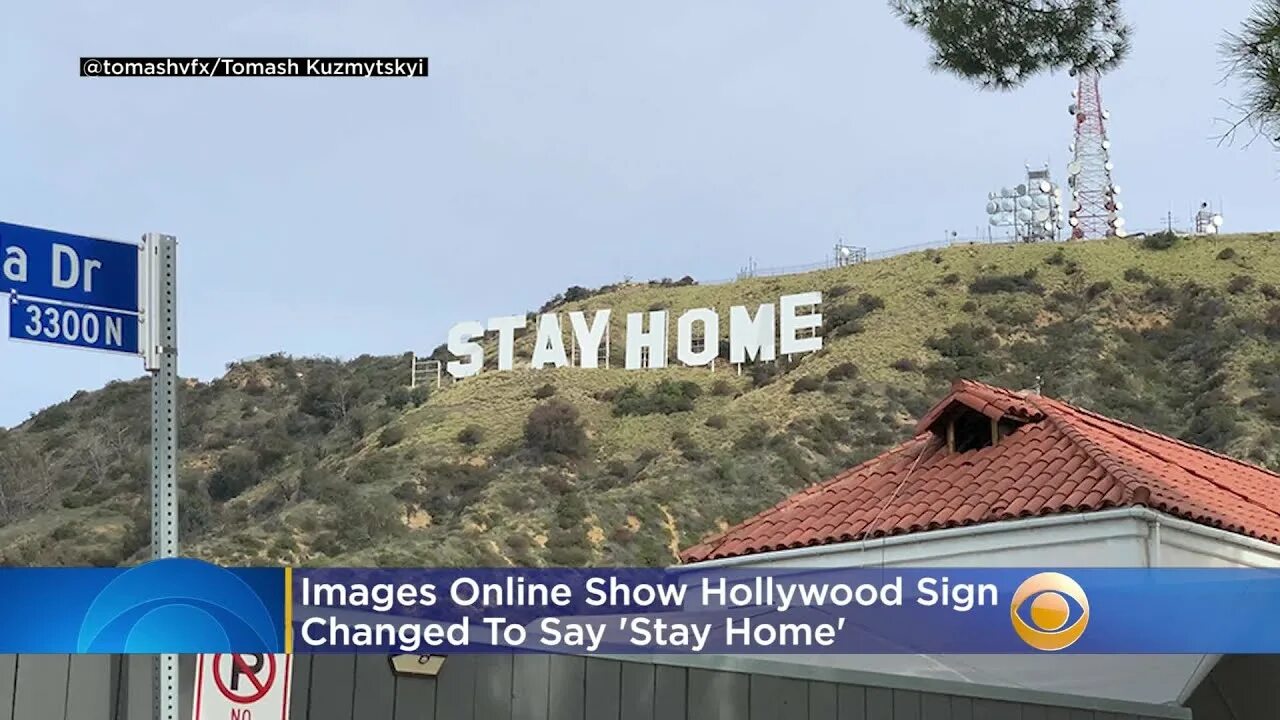 Say say say stay stay stay. Hollywood sign changed 2020 PEDOWOOD. Знак Голливуда Калифорния девушка спрыгнула. Знак Голливуда падал ли. HOOLYNADO.