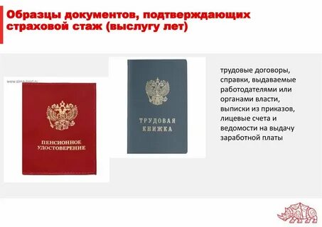 Новости страхового стажа