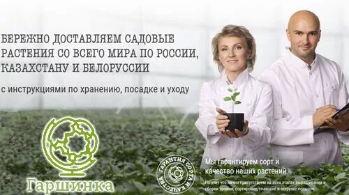 Садовый мир интернет магазин семена. Баннер сад огород. Гаршина интернет магазин каталог. Гаршина интернет магазин каталог. Гаршинка.